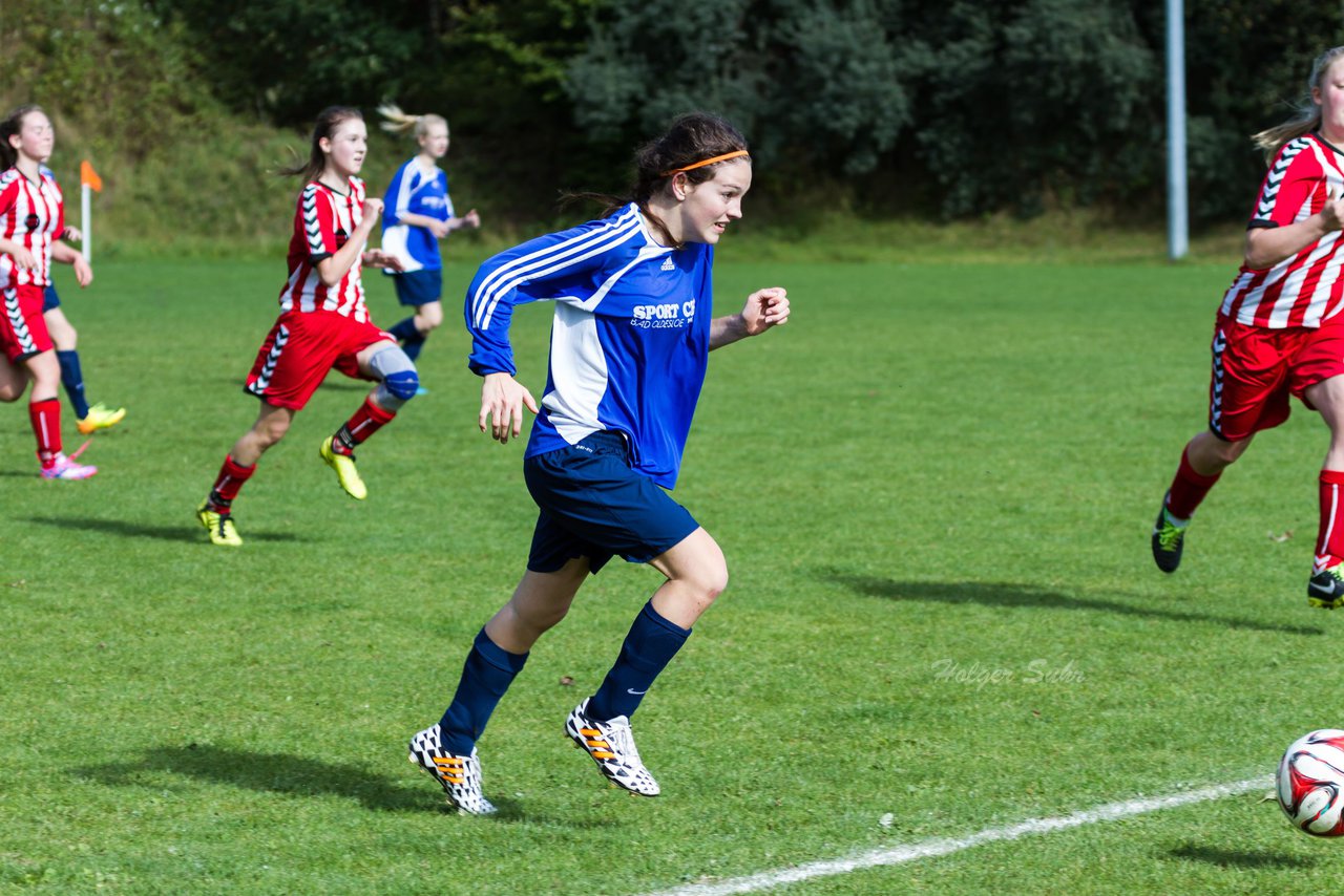 Bild 65 - B-Juniorinnen TuS Tensfeld - VfL Oldesloe 2 : Ergebnis: 2:5